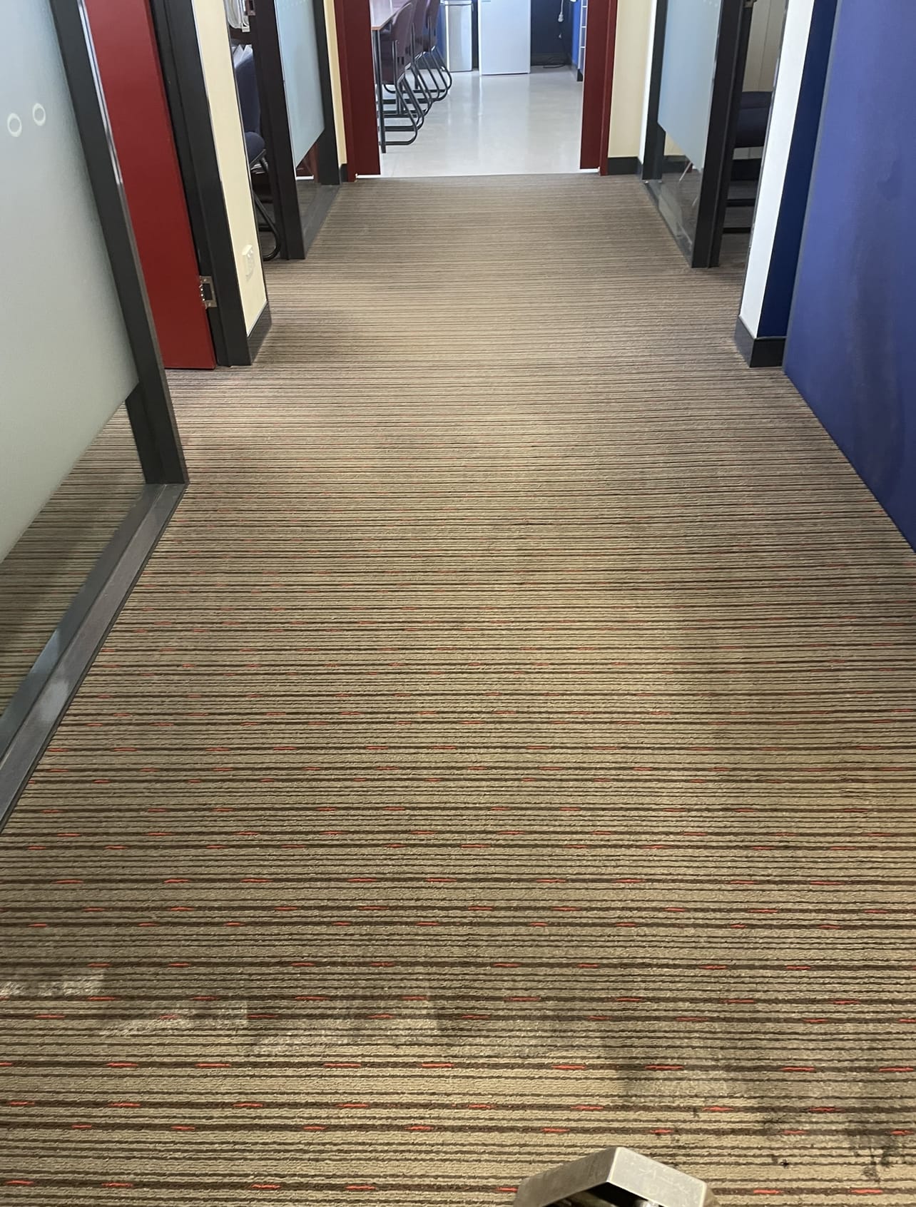 Freshly cleaned commercial corridor carpet